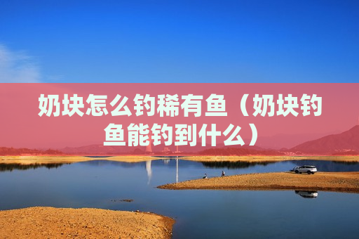 奶块怎么钓稀有鱼（奶块钓鱼能钓到什么）