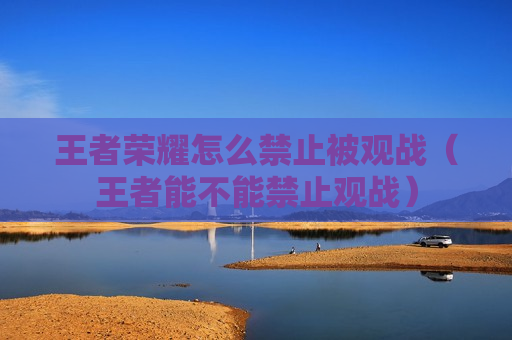 王者荣耀怎么禁止被观战（王者能不能禁止观战）