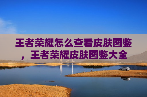 王者荣耀怎么查看皮肤图鉴，王者荣耀皮肤图鉴大全