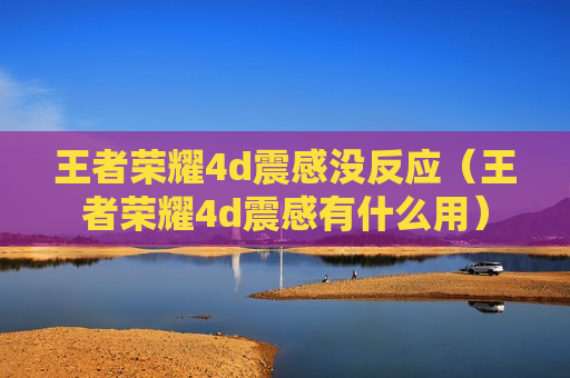 王者荣耀4d震感没反应（王者荣耀4d震感有什么用）