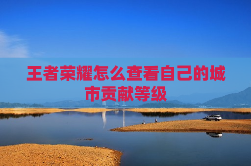 王者荣耀怎么查看自己的城市贡献等级