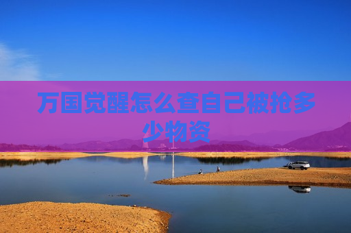 万国觉醒怎么查自己被抢多少物资