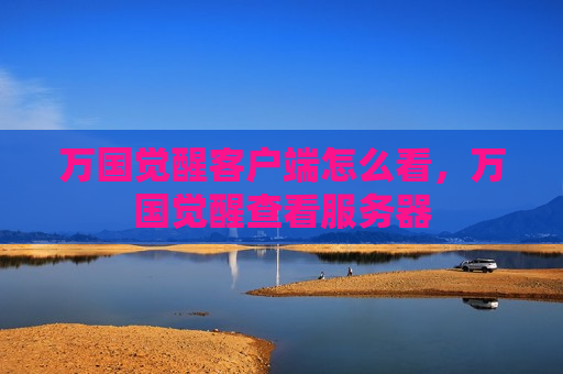万国觉醒客户端怎么看，万国觉醒查看服务器