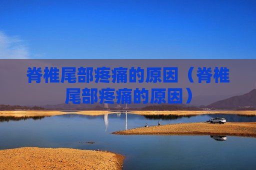 脊椎尾部疼痛的原因（脊椎尾部疼痛的原因）