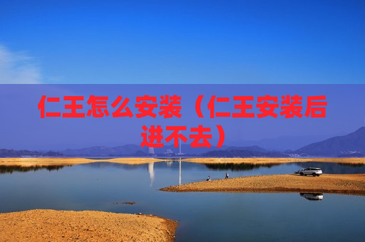 仁王怎么安装（仁王安装后进不去）