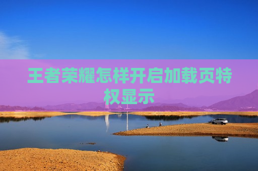 王者荣耀怎样开启加载页特权显示