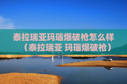 泰拉瑞亚玛瑙爆破枪怎么样（泰拉瑞亚 玛瑙爆破枪）