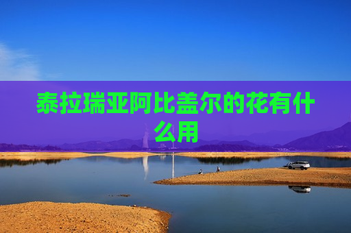 泰拉瑞亚阿比盖尔的花有什么用