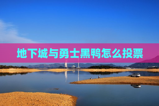 地下城与勇士黑鸭怎么投票