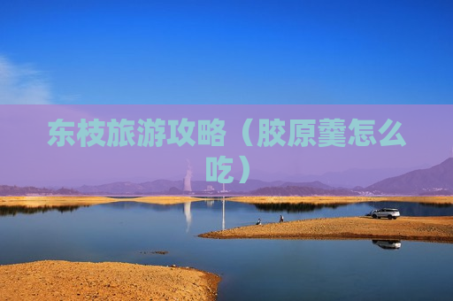 东枝旅游攻略（胶原羹怎么吃）