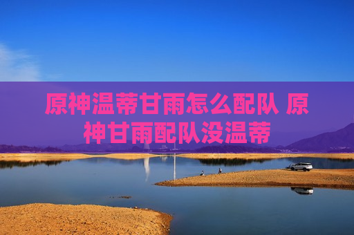 原神温蒂甘雨怎么配队 原神甘雨配队没温蒂