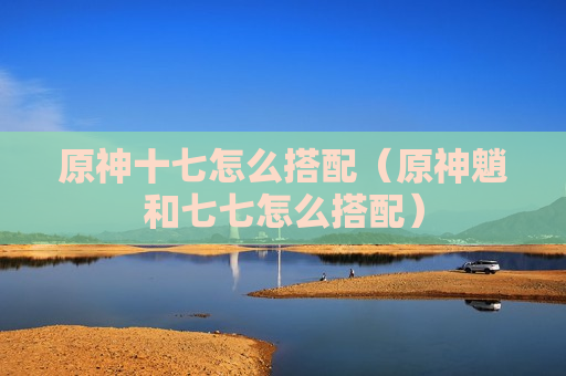 原神十七怎么搭配（原神魈和七七怎么搭配）