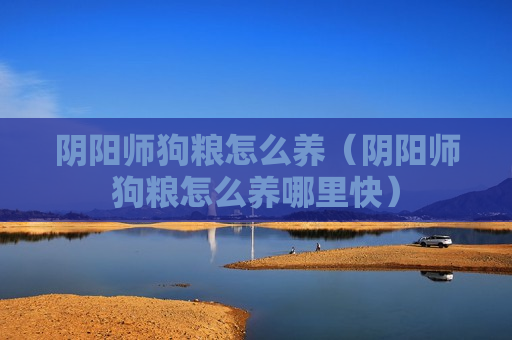 阴阳师狗粮怎么养（阴阳师狗粮怎么养哪里快）