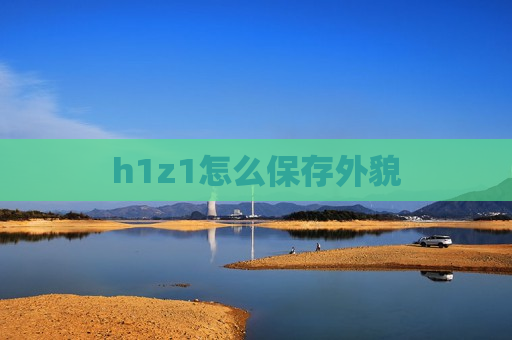 h1z1怎么保存外貌