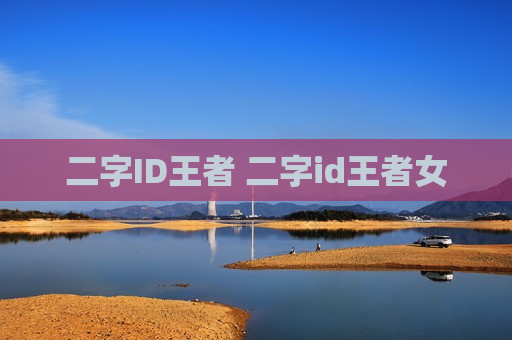 二字ID王者 二字id王者女