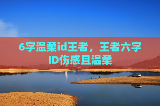 6字温柔id王者，王者六字ID伤感且温柔