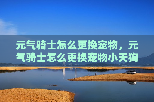 元气骑士怎么更换宠物，元气骑士怎么更换宠物小天狗