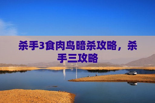杀手3食肉鸟暗杀攻略，杀手三攻略