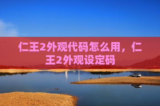 仁王2外观代码怎么用，仁王2外观设定码