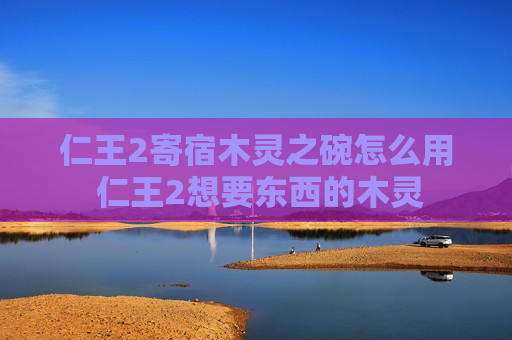 仁王2寄宿木灵之碗怎么用 仁王2想要东西的木灵