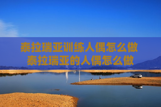 泰拉瑞亚训练人偶怎么做 泰拉瑞亚的人偶怎么做
