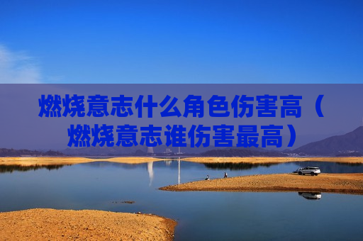 燃烧意志什么角色伤害高（燃烧意志谁伤害最高）