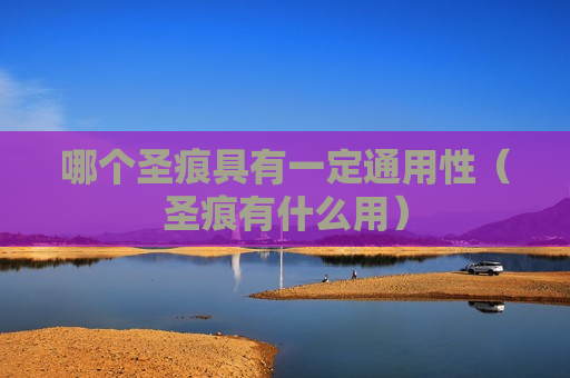 哪个圣痕具有一定通用性（圣痕有什么用）