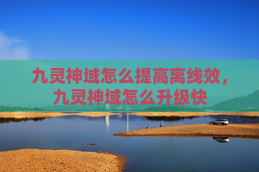 九灵神域怎么提高离线效，九灵神域怎么升级快