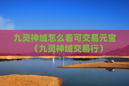 九灵神域怎么看可交易元宝（九灵神域交易行）