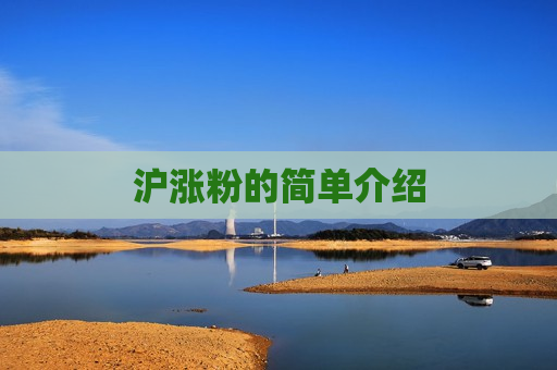 沪涨粉的简单介绍