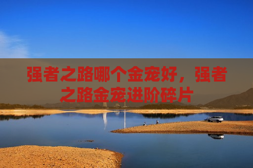 强者之路哪个金宠好，强者之路金宠进阶碎片