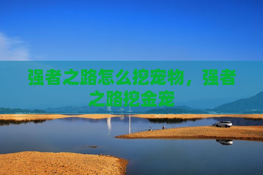 强者之路怎么挖宠物，强者之路挖金宠