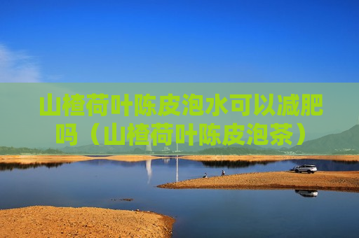 山楂荷叶陈皮泡水可以减肥吗（山楂荷叶陈皮泡茶）