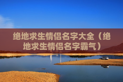 绝地求生情侣名字大全（绝地求生情侣名字霸气）