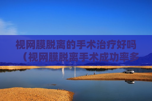 视网膜脱离的手术治疗好吗（视网膜脱离手术成功率多少）