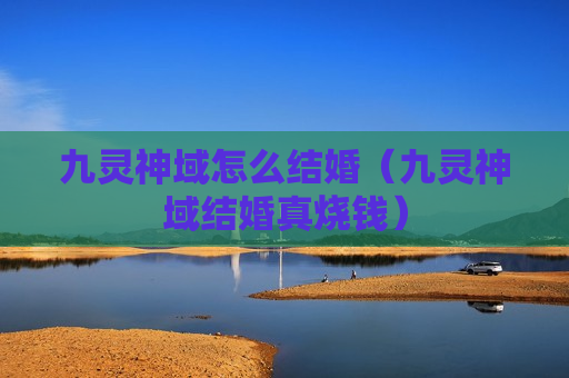 九灵神域怎么结婚（九灵神域结婚真烧钱）