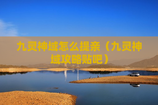 九灵神域怎么提亲（九灵神域攻略贴吧）