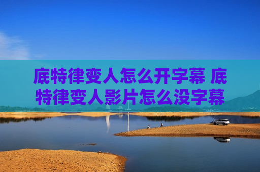 底特律变人怎么开字幕 底特律变人影片怎么没字幕