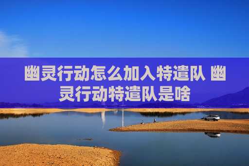 幽灵行动怎么加入特遣队 幽灵行动特遣队是啥