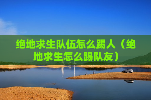 绝地求生队伍怎么踢人（绝地求生怎么踢队友）