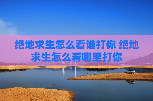绝地求生怎么看谁打你 绝地求生怎么看哪里打你