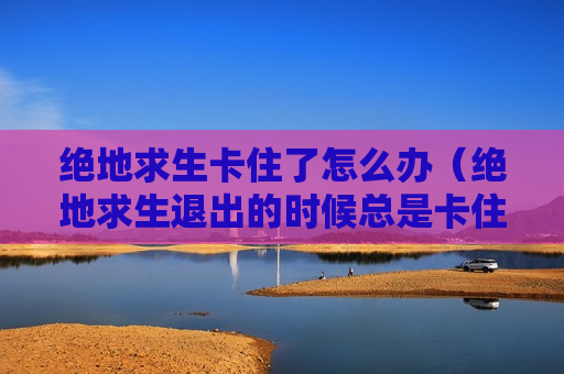 绝地求生卡住了怎么办（绝地求生退出的时候总是卡住怎么回事?）