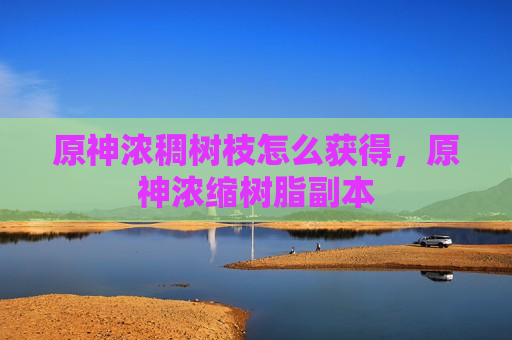 原神浓稠树枝怎么获得，原神浓缩树脂副本