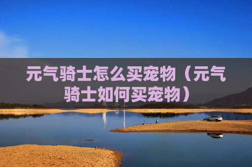 元气骑士怎么买宠物（元气骑士如何买宠物）