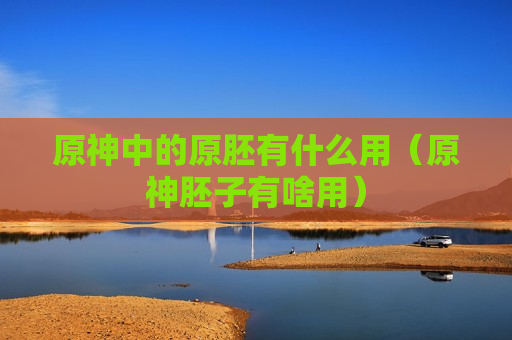 原神中的原胚有什么用（原神胚子有啥用）