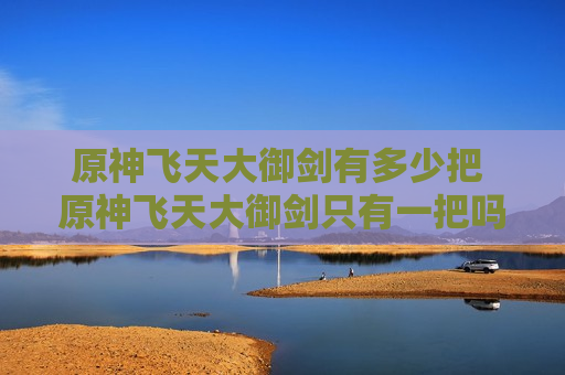 原神飞天大御剑有多少把 原神飞天大御剑只有一把吗