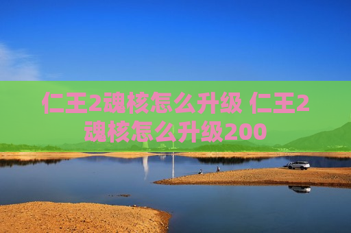 仁王2魂核怎么升级 仁王2魂核怎么升级200