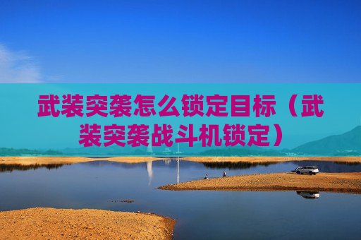 武装突袭怎么锁定目标（武装突袭战斗机锁定）
