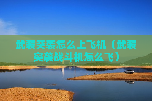 武装突袭怎么上飞机（武装突袭战斗机怎么飞）