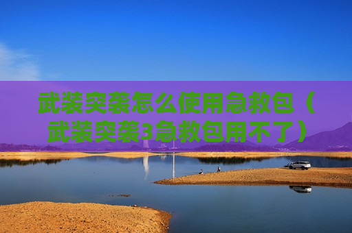 武装突袭怎么使用急救包（武装突袭3急救包用不了）